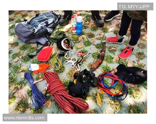 尼斯与雷恩激战正酣比赛结果揭晓精彩瞬间回顾与分析