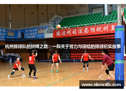杭州排球队的拼搏之路：一段关于努力与团结的排球纪实故事