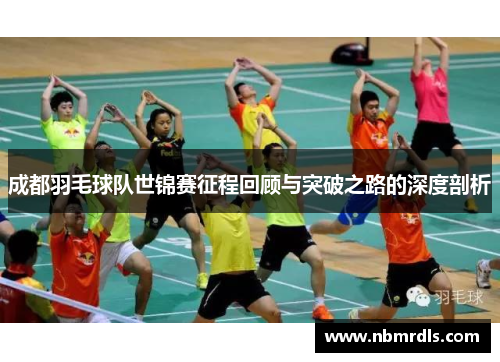 成都羽毛球队世锦赛征程回顾与突破之路的深度剖析