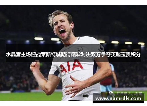 水晶宫主场迎战莱斯特城期待精彩对决双方争夺英超宝贵积分